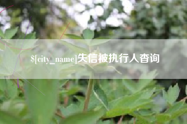 晋江失信被执行人杳询
