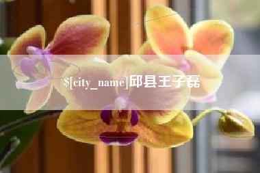 晋江邱县王子磊