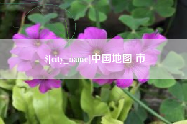 晋江中国地图 市