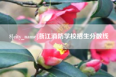 晋江浙江消防学校招生分数线