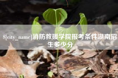 晋江消防救援学院报考条件湖南招生多少分