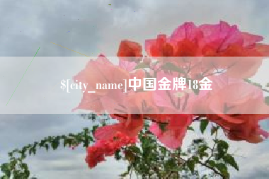 晋江中国金牌18金