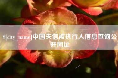晋江中国失信被执行人信息查询公开网址