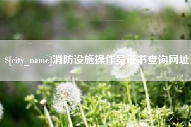 晋江消防设施操作员证书查询网址