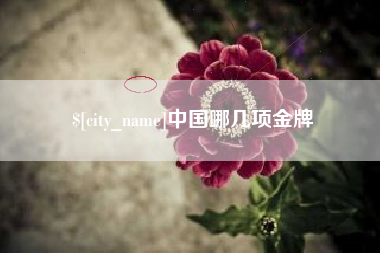 晋江中国哪几项金牌