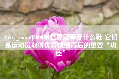 晋江5000米世界冠军穿什么鞋-它们是运动员取得优异成绩背后的重要“功臣”