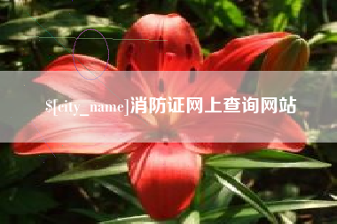 晋江消防证网上查询网站