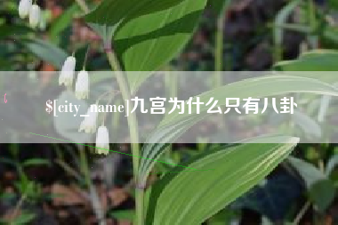晋江九宫为什么只有八卦