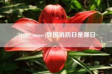 晋江我国消防日是哪日