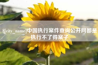 晋江中国执行案件查询公开网都是执行不了得案子