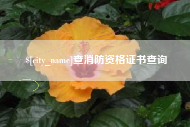 晋江查消防资格证书查询
