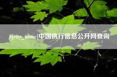 晋江中国执行信息公开网查询