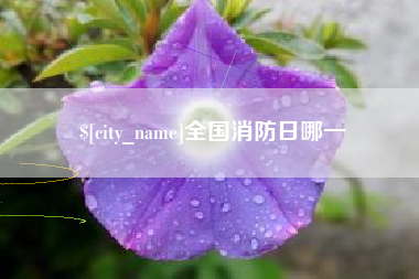 晋江全国消防日哪一