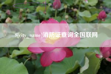 晋江消防证查询全国联网