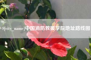 晋江中国消防救援学院地址路线图