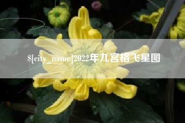 晋江2022年九宫格飞星图
