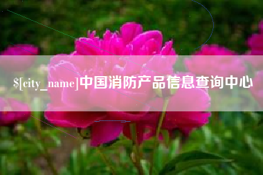 晋江中国消防产品信息查询中心
