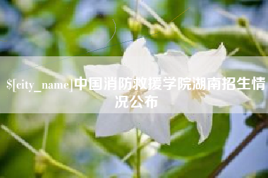晋江中国消防救援学院湖南招生情况公布