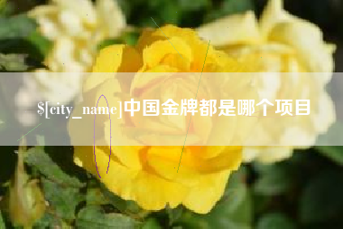 晋江中国金牌都是哪个项目