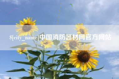晋江中国消防器材网官方网站