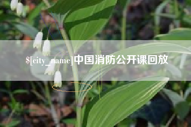 晋江中国消防公开课回放