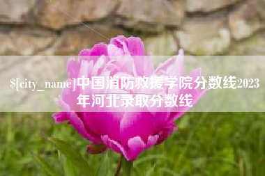 晋江中国消防救援学院分数线2023年河北录取分数线