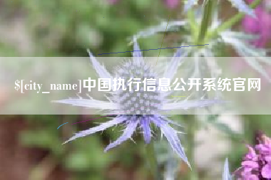 晋江中国执行信息公开系统官网