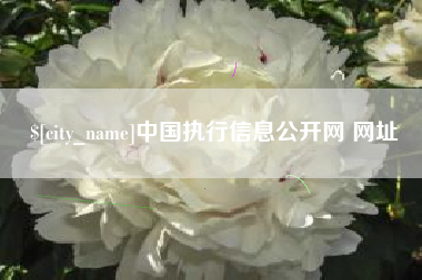 晋江中国执行信息公开网 网址