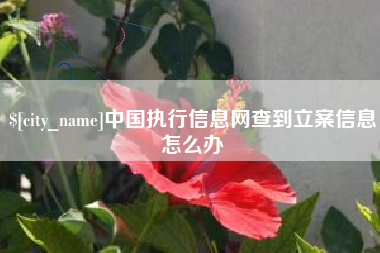 晋江中国执行信息网查到立案信息怎么办