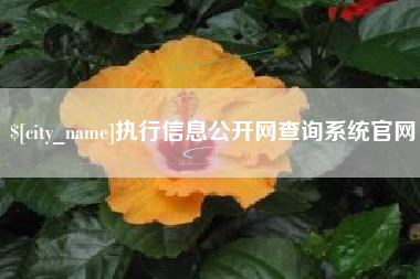 晋江执行信息公开网查询系统官网