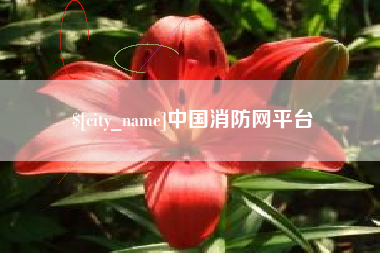 晋江中国消防网平台