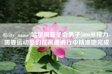 晋江哈尔滨亚冬会男子5000米接力-需要运动员们在高速滑行中精准地完成