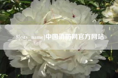 晋江中国消防网官方网站