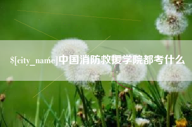 晋江中国消防救援学院都考什么