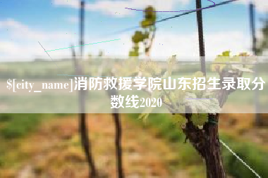 晋江消防救援学院山东招生录取分数线2020