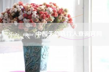 晋江中国失信执行人查询官网