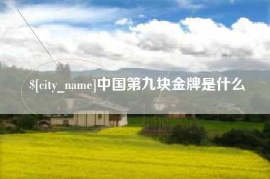 晋江中国第九块金牌是什么