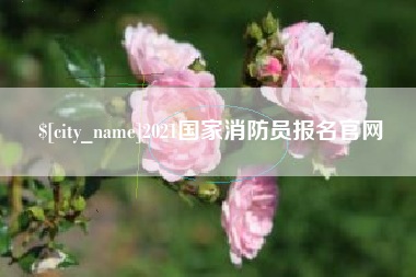晋江2021国家消防员报名官网