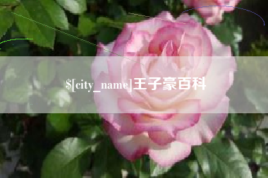 晋江王子豪百科