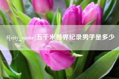 晋江五千米世界纪录男子是多少