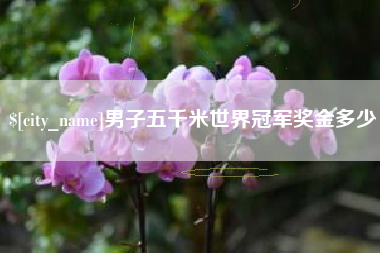 晋江男子五千米世界冠军奖金多少