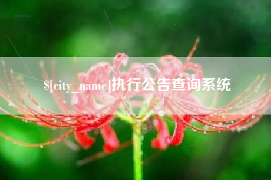 晋江执行公告查询系统
