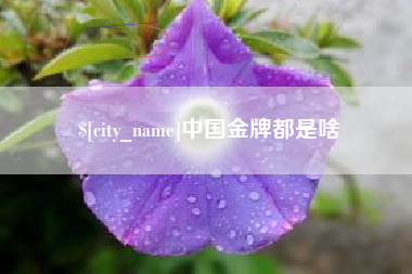 晋江中国金牌都是啥