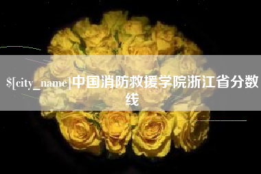 晋江中国消防救援学院浙江省分数线