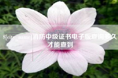 晋江消防中级证书电子版查询多久才能查到