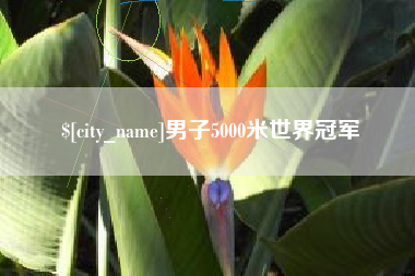 晋江男子5000米世界冠军