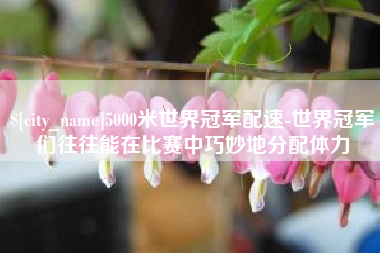 晋江5000米世界冠军配速-世界冠军们往往能在比赛中巧妙地分配体力