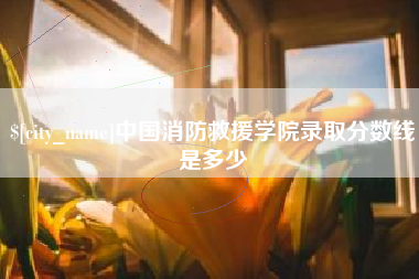 晋江中国消防救援学院录取分数线是多少