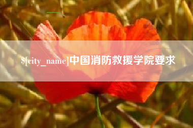 晋江中国消防救援学院要求