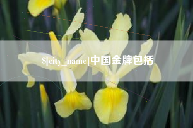 晋江中国金牌包括